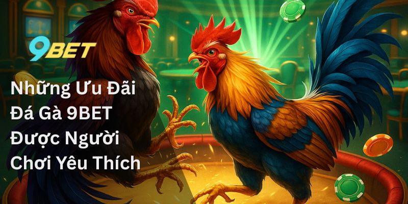 Những Ưu Đãi Đá Gà 9BET Được Người Chơi Yêu Thích